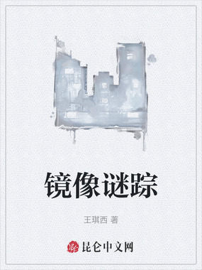 镜像谜踪在线阅读