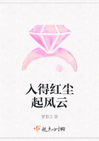 入得紅塵起風云在線閱讀