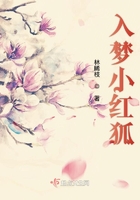 入夢小紅狐在線閱讀