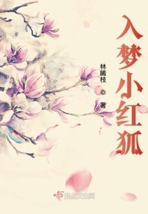 入夢小紅狐