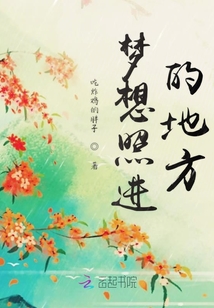 日光照耀未來