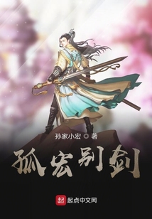 孤宏别剑