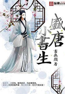 盛唐小書生