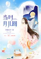 當時月兒圓在線閱讀