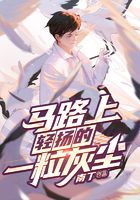马路上轻扬的一粒灰尘在线阅读