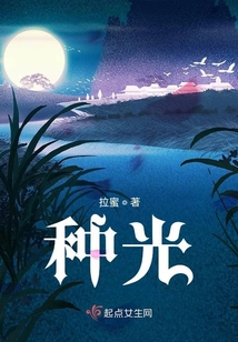 種光