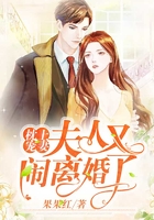 枕上宠妻:夫人又闹离婚了