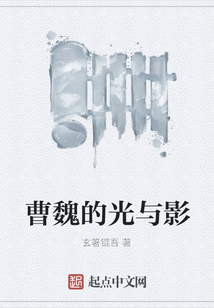 曹魏的光與影