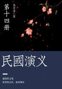 蔡东藩经典历史小说:民国演义(14)