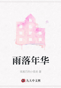 雨落年華