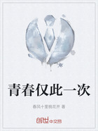 青春仅此一次在线阅读
