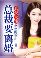 真愛太淺，總裁要離婚在線閱讀