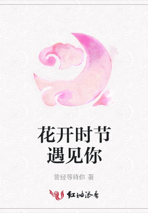 花开时节遇见你