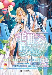 追捕，獵愛之令
