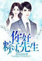 你好，粽子先生在線閱讀