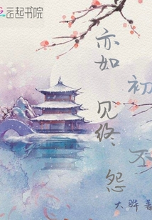 亦如初見終不怨