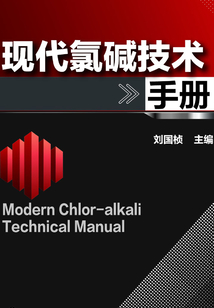 現代氯堿技術手冊