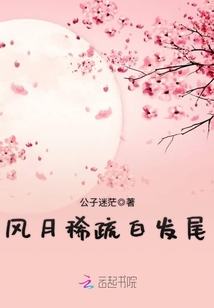 風(fēng)月稀疏白發(fā)尾