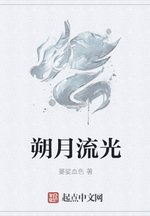 朔月流光