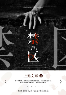 禁区13