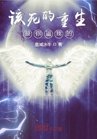 該死的重生是你逼我的在線閱讀