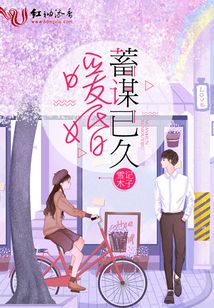 暖婚蓄謀已久