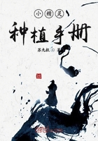 小精灵种植手册在线阅读