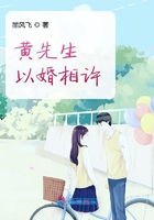 黃先生以婚相許在線閱讀