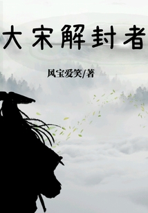 大宋解封者