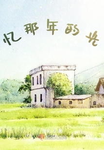 憶那年的光