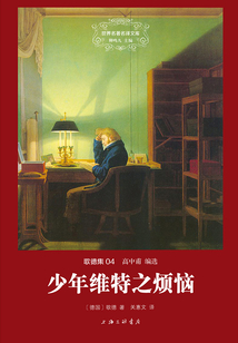 少年维特之烦恼