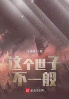 这个世子不一般