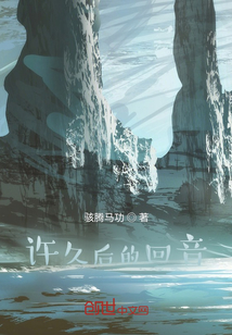 許久后的回音