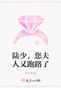 陸少，您夫人又跑路了
