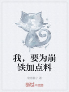 我,要为崩铁加点料在线阅读