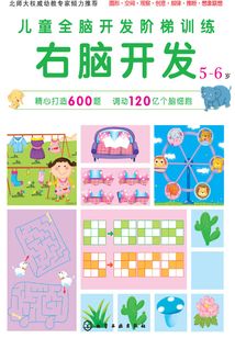 兒童全腦開發階梯訓練.5～6歲.右腦開發