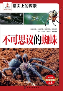 不可思議的蜘蛛