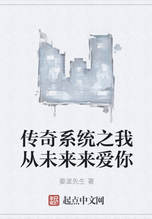 傳奇系統之我從未來來愛你