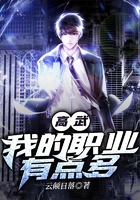 高武：我的職業(yè)有點(diǎn)多在線閱讀