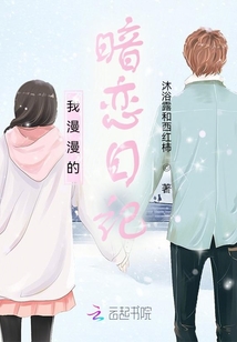 我漫漫的暗戀日記