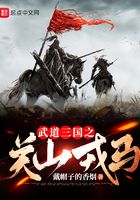 武道三国之关山戎马在线阅读