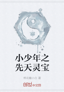 小少年之先天靈寶