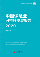 中国保险业可持续发展报告（2020）