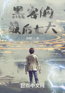 黑客的最后七天