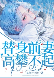 替身前妻,高攀不起