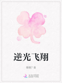 逆光飛翔
