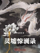 灵墟惊澜录在线阅读