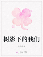 树影下的我们在线阅读