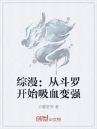 综漫:从斗罗开始吸血变强在线阅读