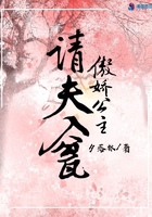 傲嬌公主請夫入甕在線閱讀